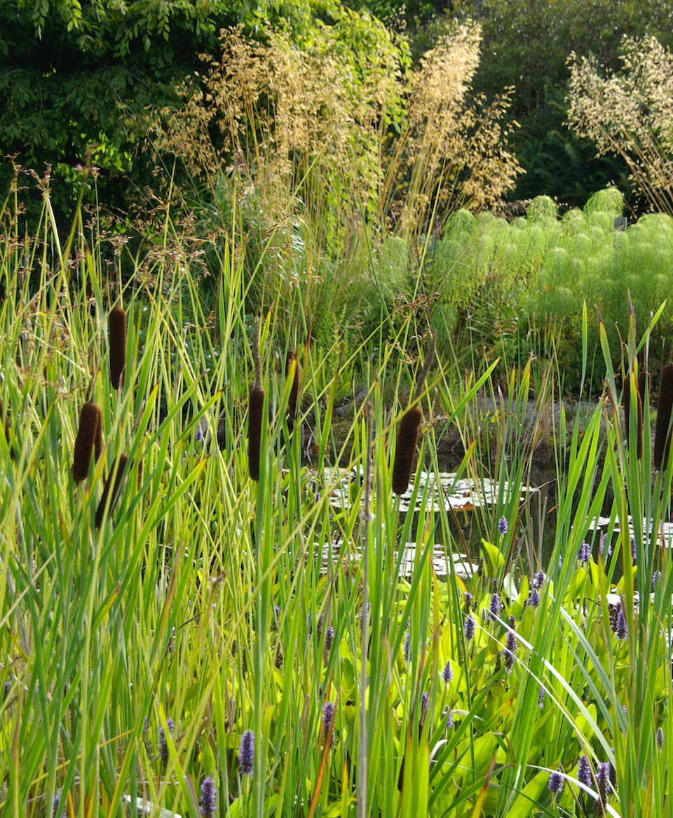 Gartengefluester_Lepage_IMGP8388