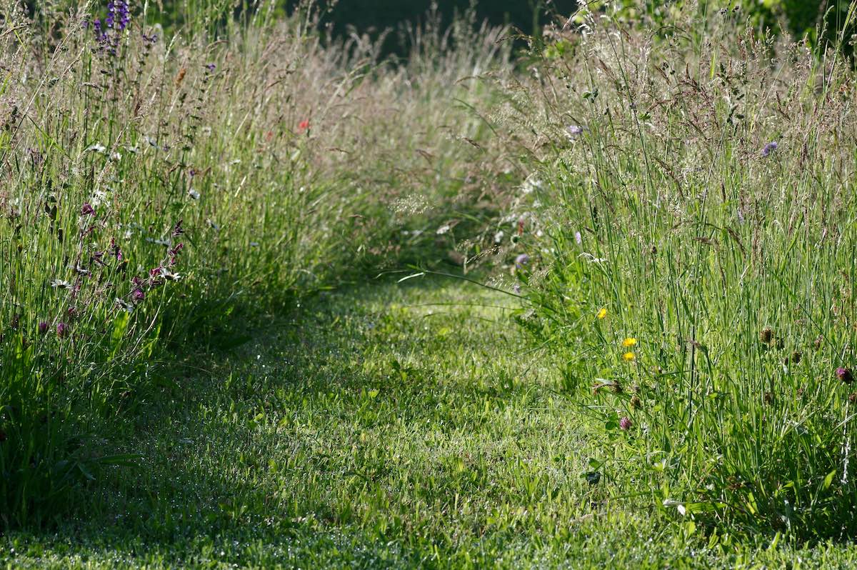 Naturgarten Bettwiesen