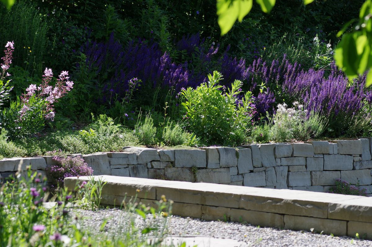 Naturgarten Bettwiesen