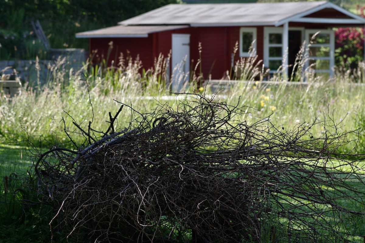 Naturgarten Bettwiesen