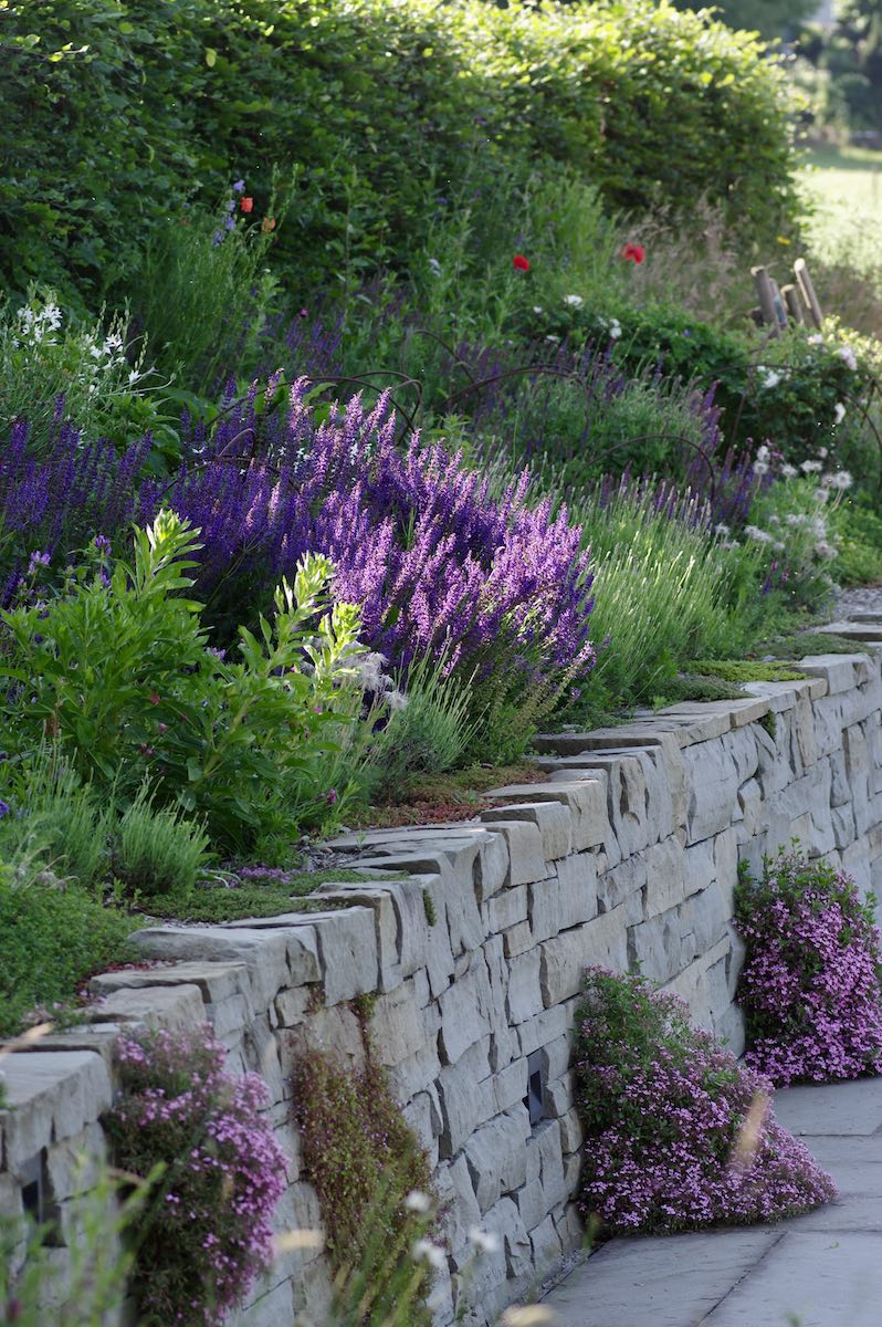 Naturgarten Bettwiesen