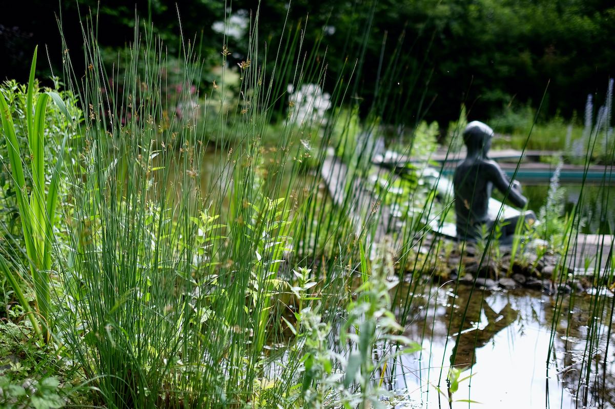 Vom Pool zum Naturbadeteich