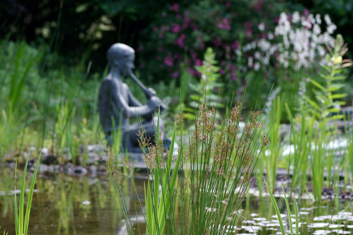 Vom Pool zum Naturbadeteich