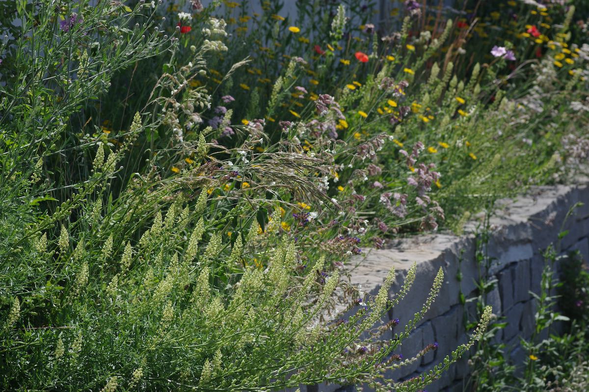 Wildbienenbahnhof Rankweil