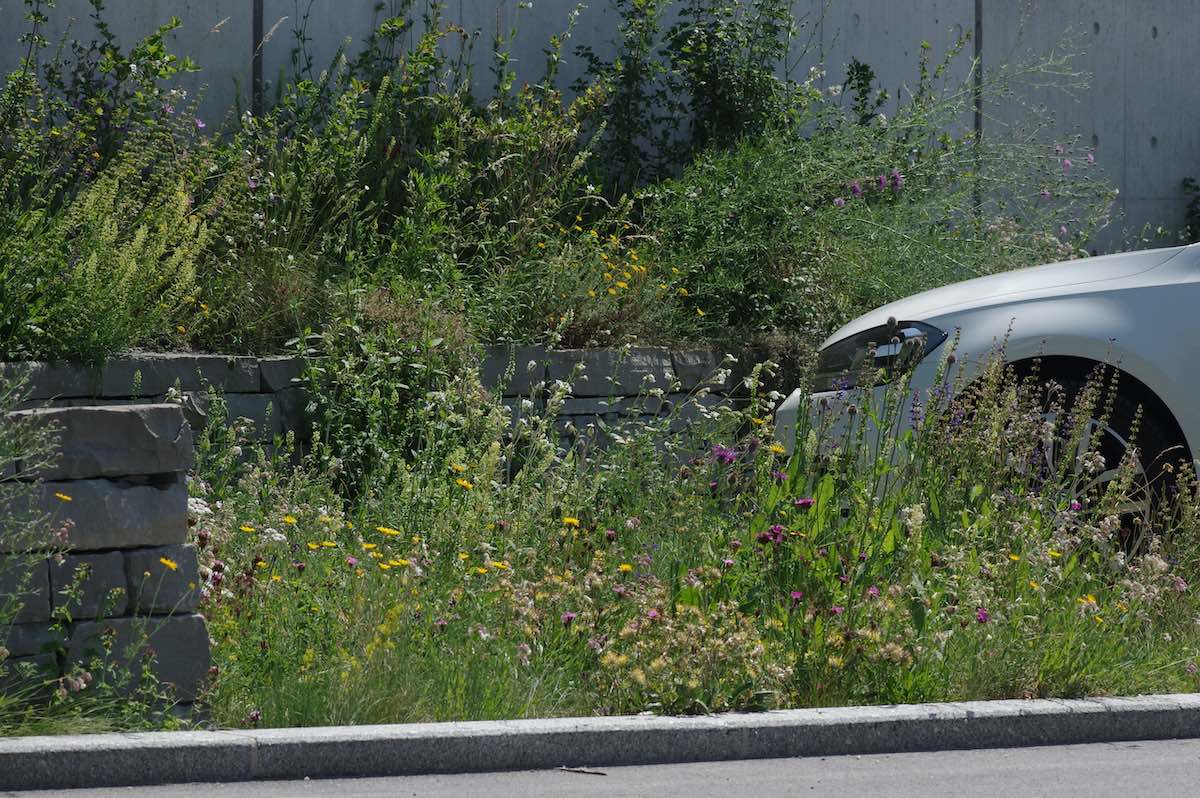 Wildbienenbahnhof Rankweil