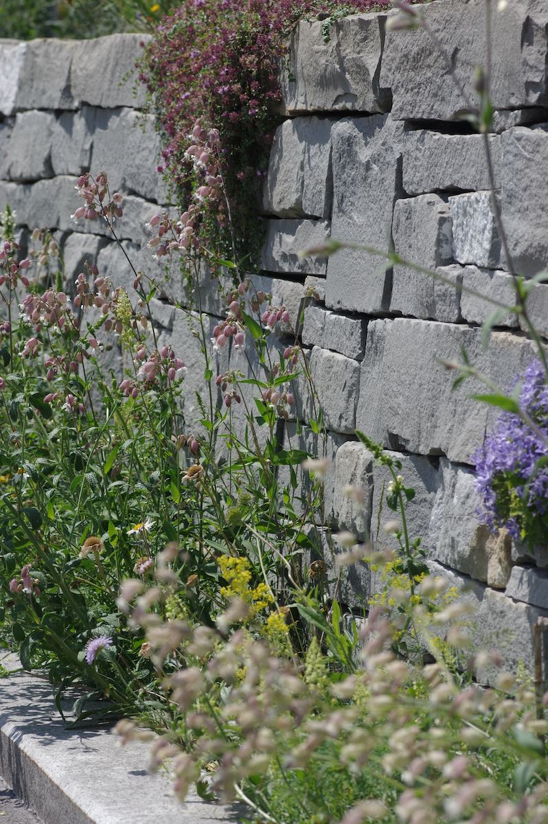 Wildbienenbahnhof Rankweil