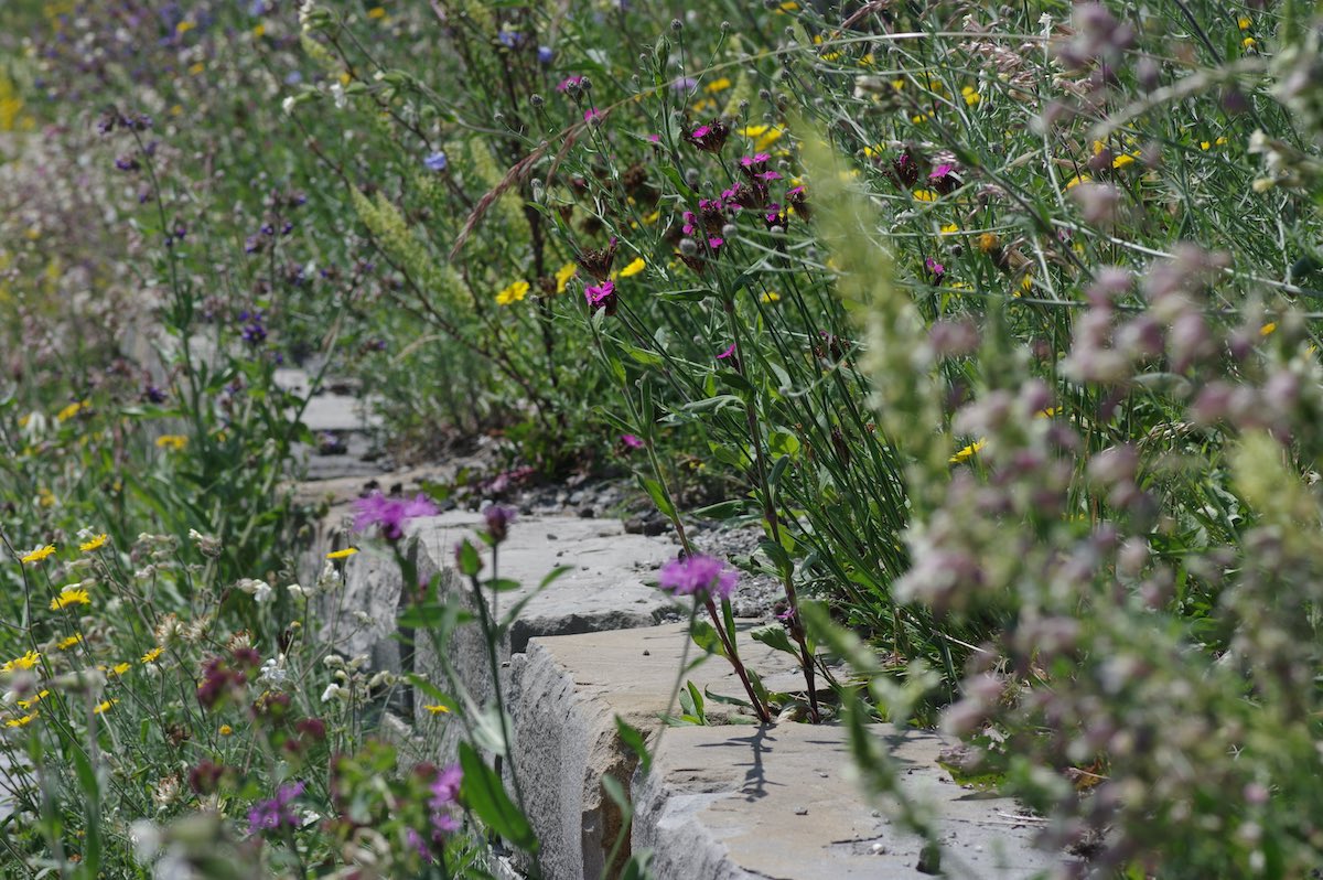Wildbienenbahnhof Rankweil