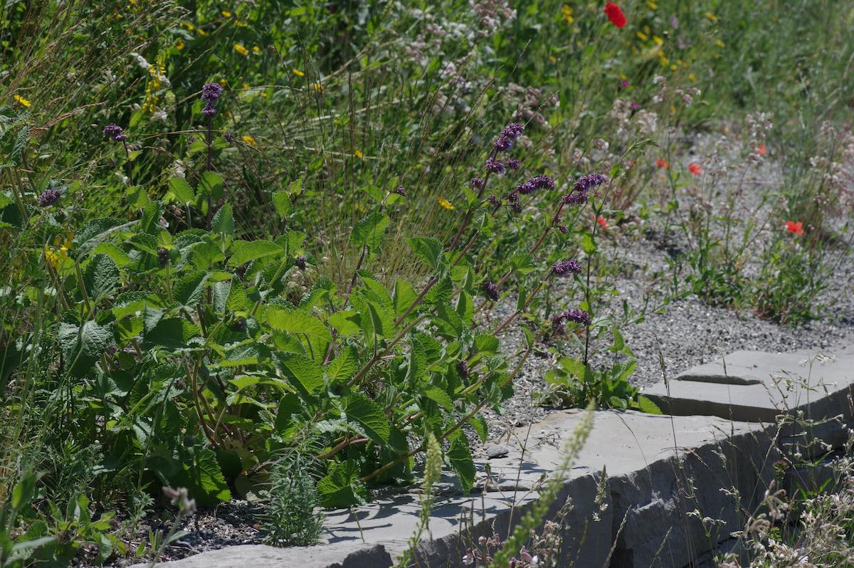 Wildbienenbahnhof Rankweil