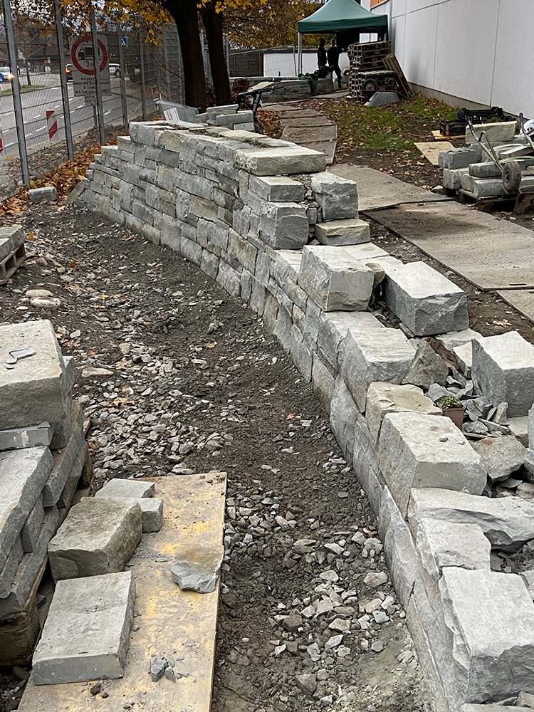 Die doppelhäuptige Mauer wird aufgeschichtet, Pflanzen beim Bau eingelegt