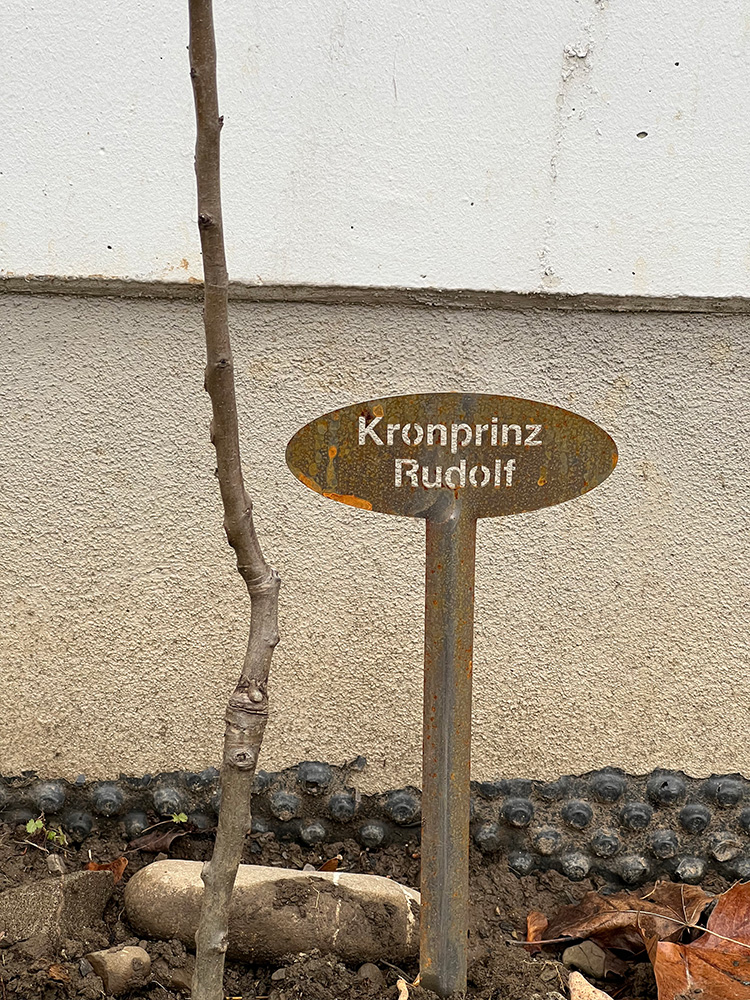 Alte lokale Sorte (Pro Specie Rara)