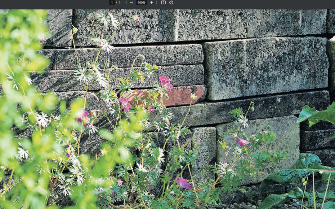 Hilgenstock an der artgarden-Wil