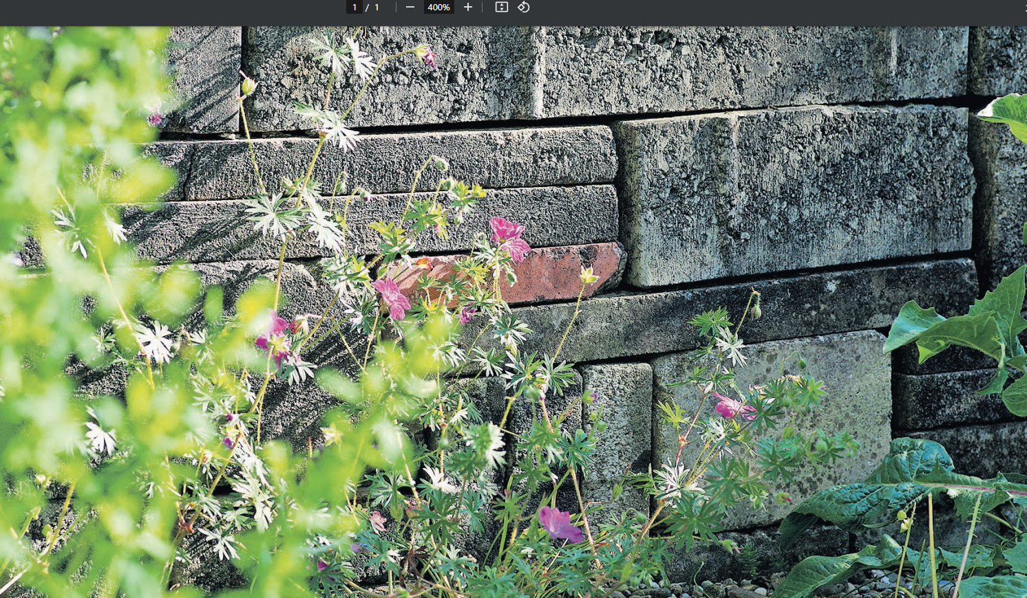 Hilgenstock an der artgarden-Wil