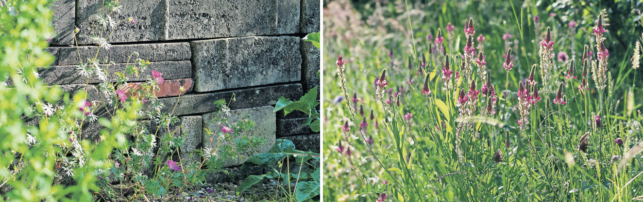 Hilgenstock an der artgarden-Wil Hilgenstock an der artgarden-Wil