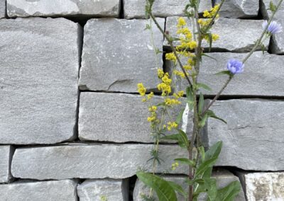 Bild 19